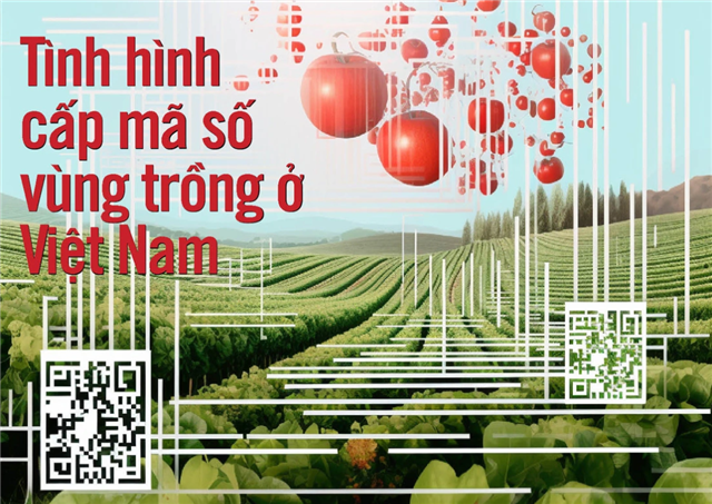 Có bao nhiêu mã số vùng trồng trái cây ở Việt Nam đã được cấp?