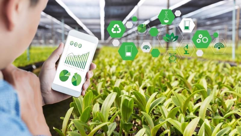 APPLICATION OF AGRICULTURAL MARKET FORECASTING TECHNOLOGY - OPEN TO SMART AGRICULTURE