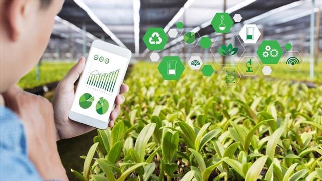 APPLICATION OF AGRICULTURAL MARKET FORECASTING TECHNOLOGY - OPEN TO SMART AGRICULTURE