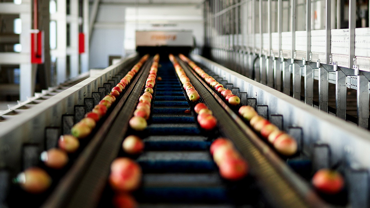 Agricultural Product Sorter